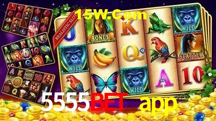 Interface moderna da plataforma 5555bet app